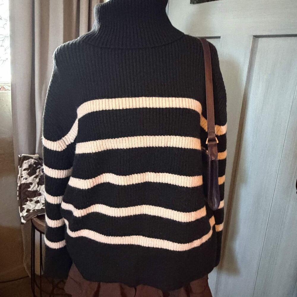 Zara striped high neck knit sweater
